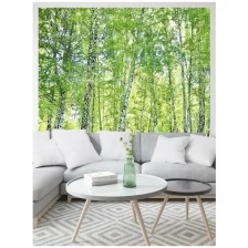 Фотообои Homepick 3х2,7 м BirchForest/1846/